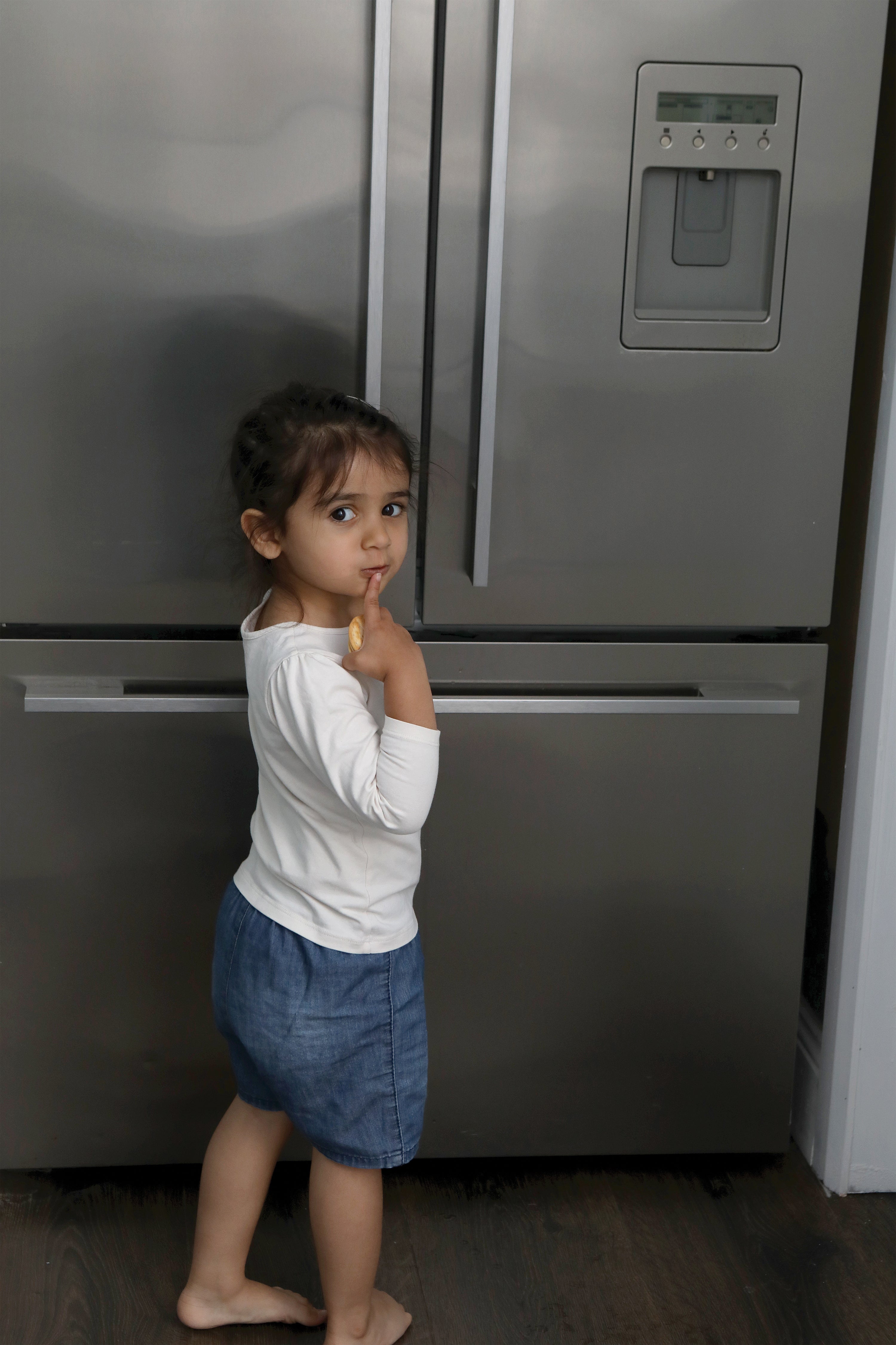 Refrigerator Latch