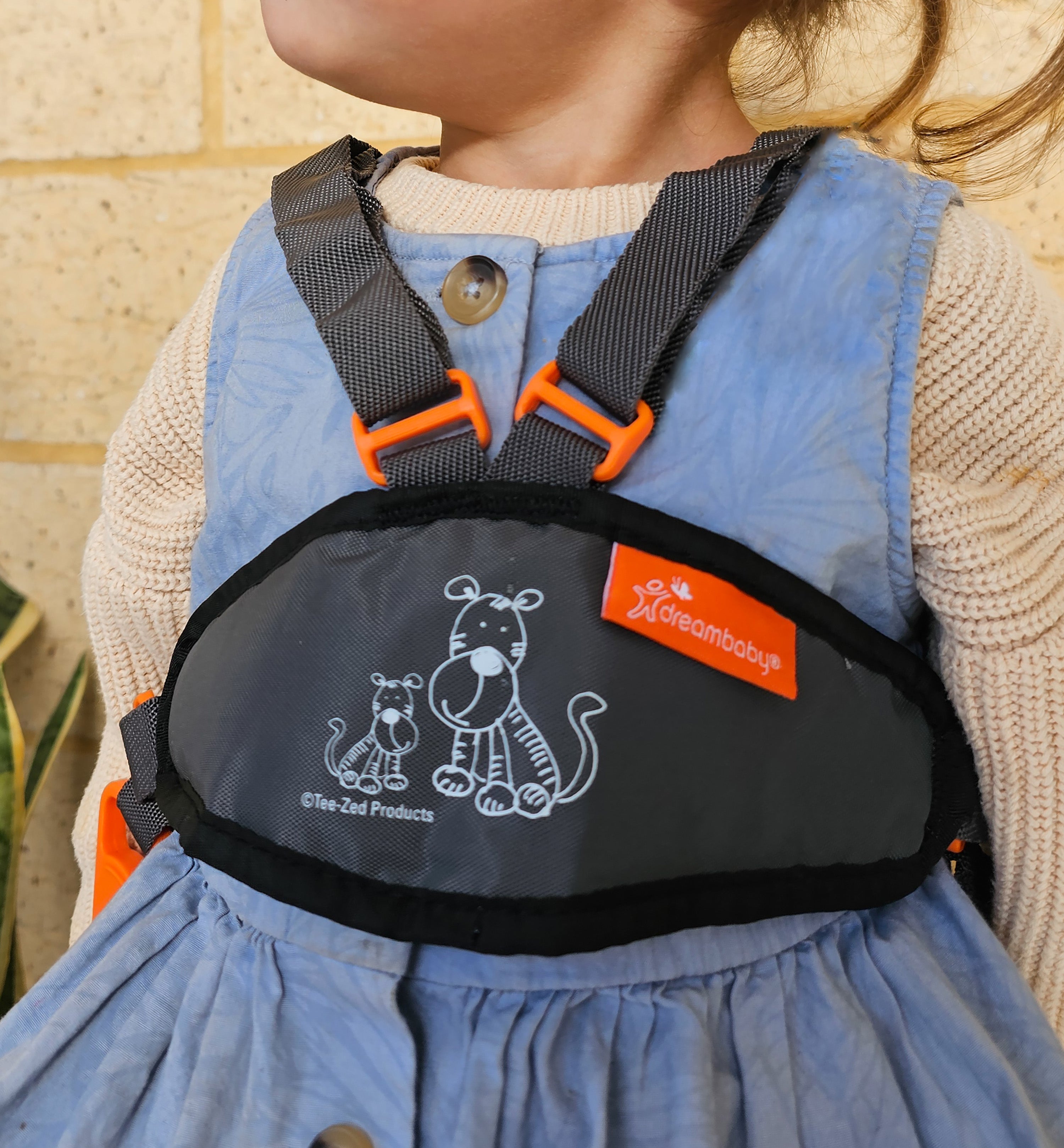 Deluxe Safety Walking Harness