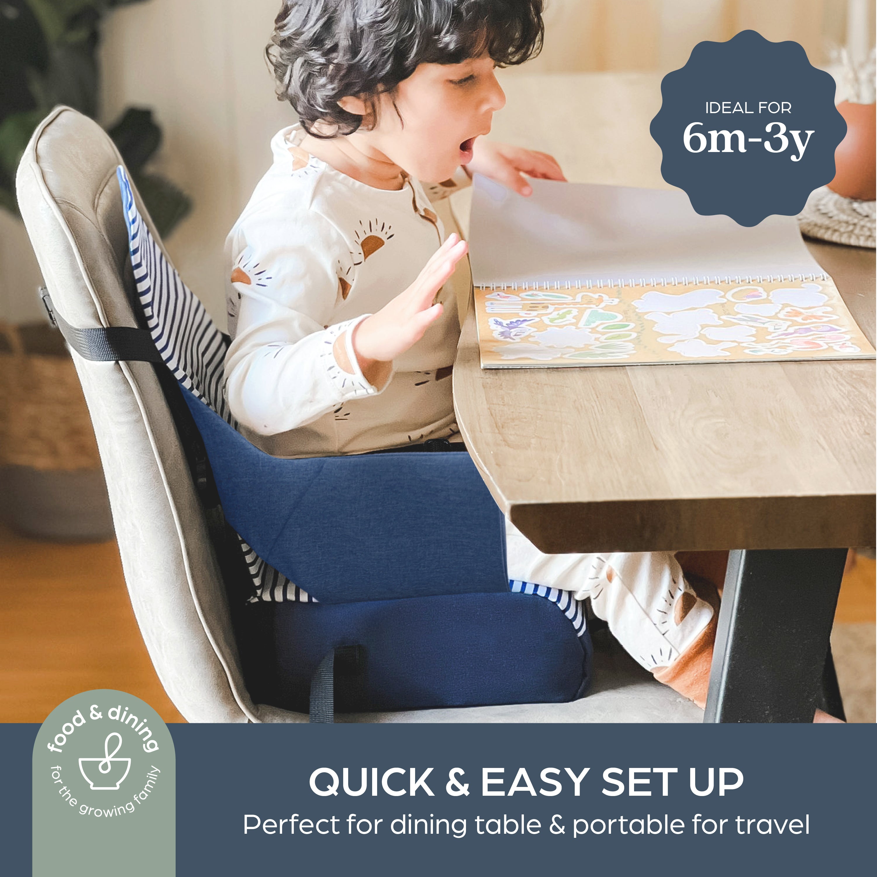 Grab 'N Go Booster Buddy Denim Stripes