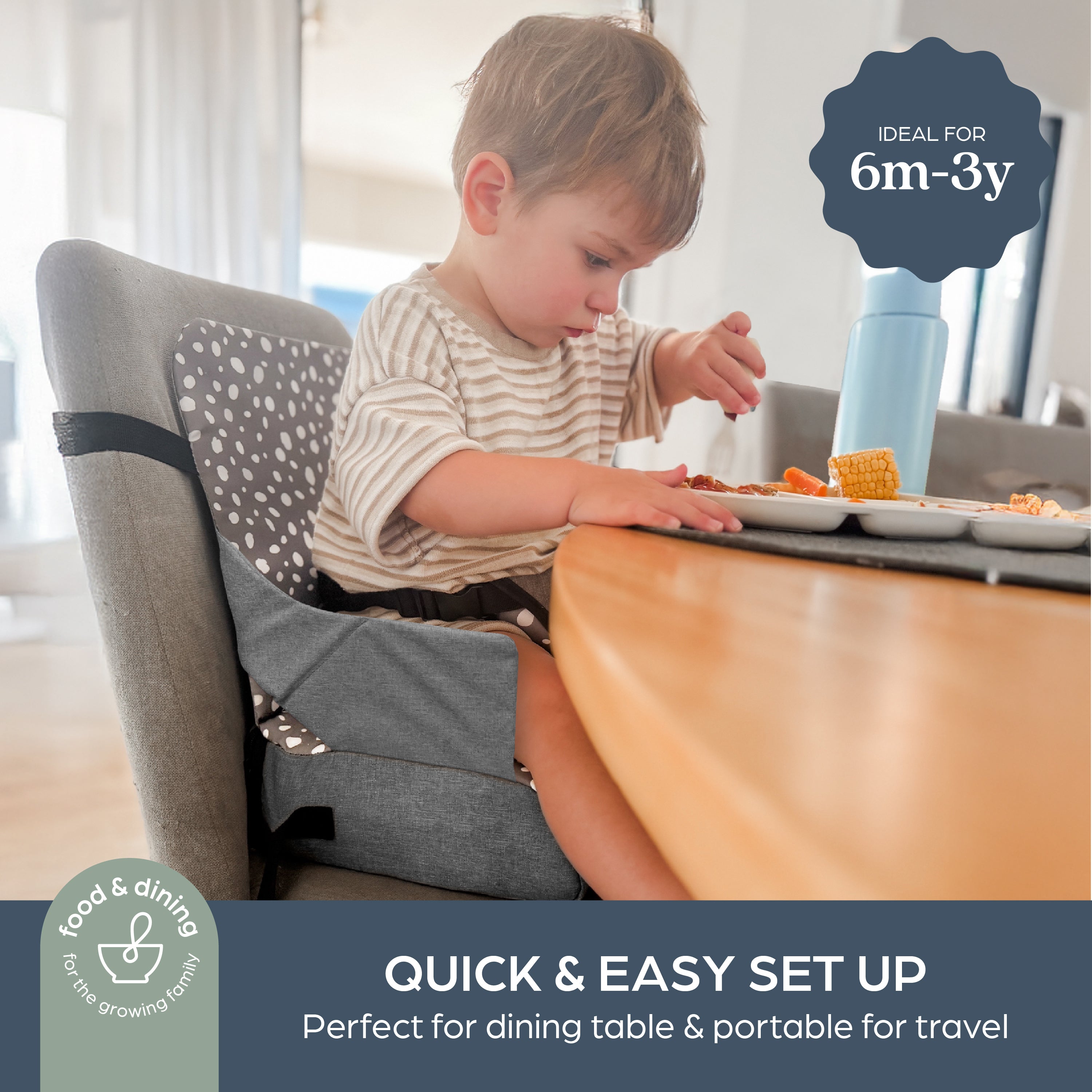 Dreambaby Portable Toddler Booster Seat | Pebble Grey