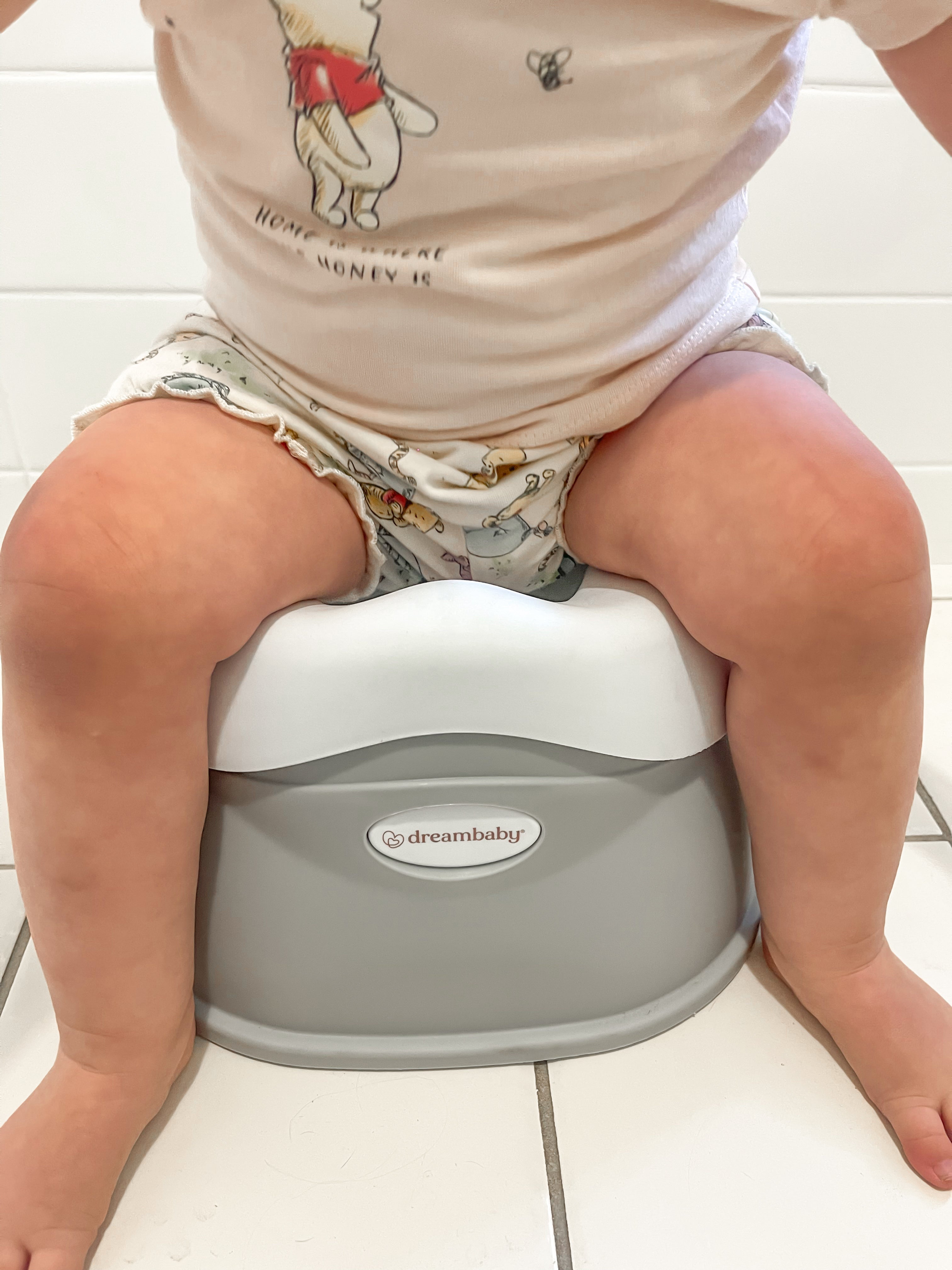 Ezy-Potty Grey