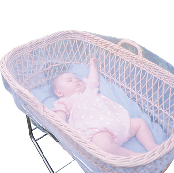 Stroller Insect Netting