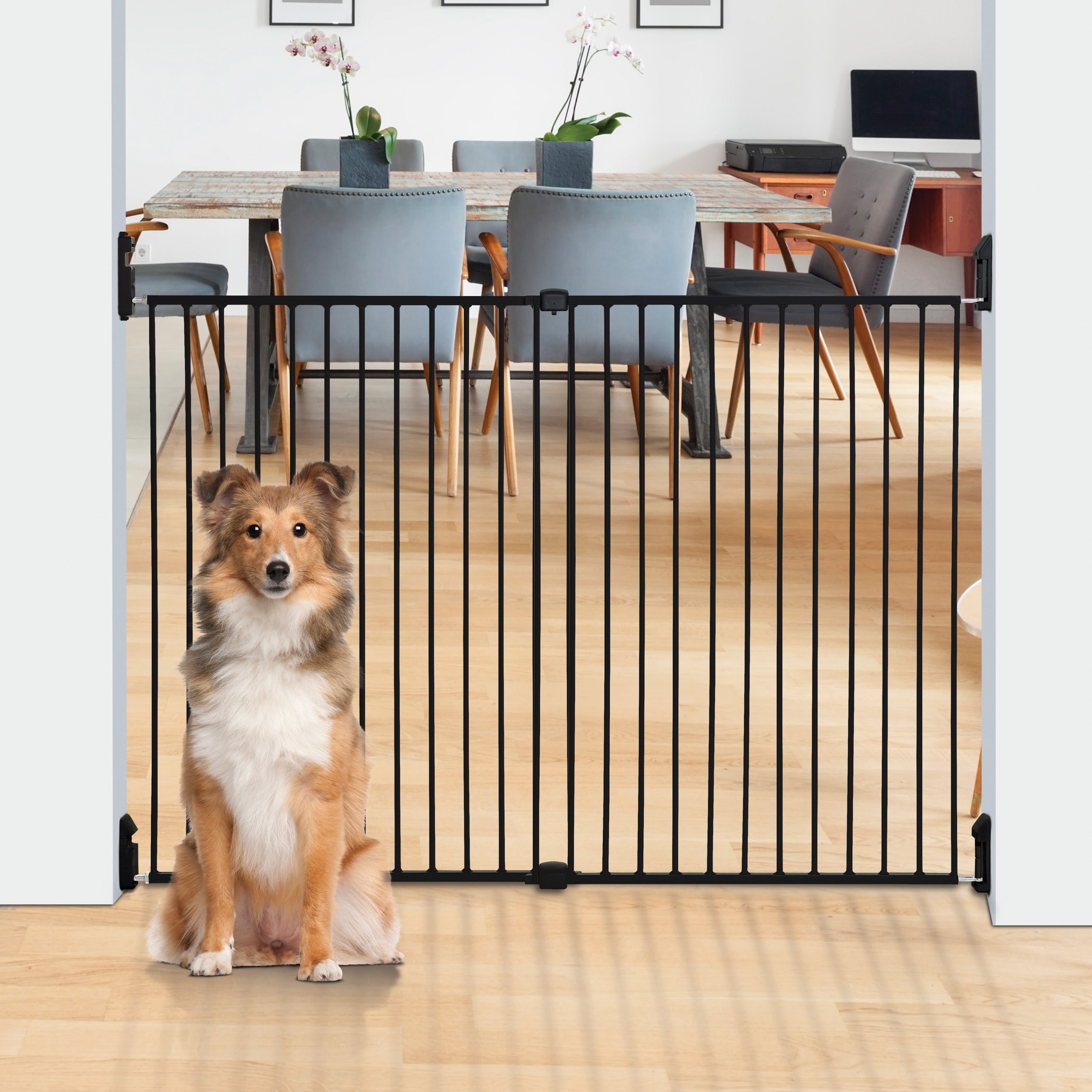 Broadway Xtra-Wide & Xtra-Tall Gro-Gate® - Black