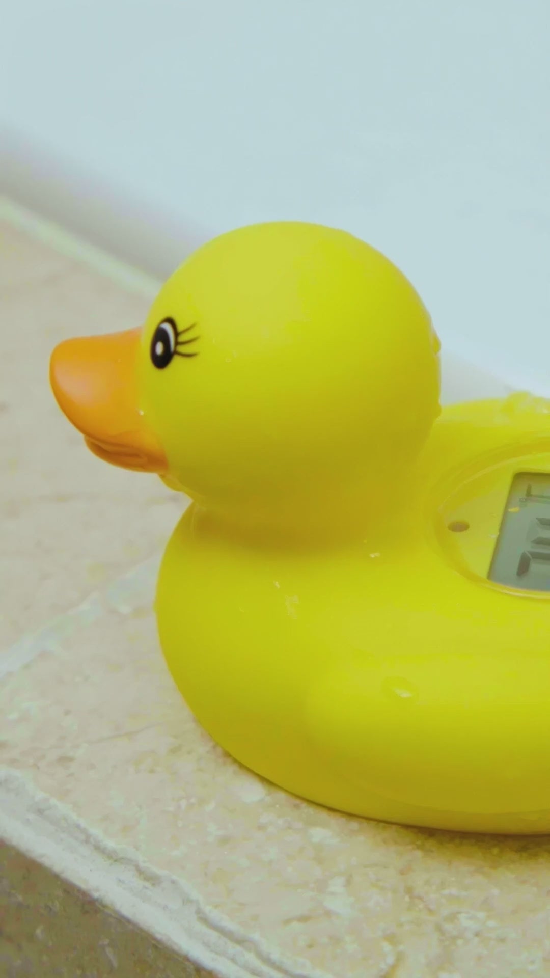 Room & Bath Thermometer - Duck